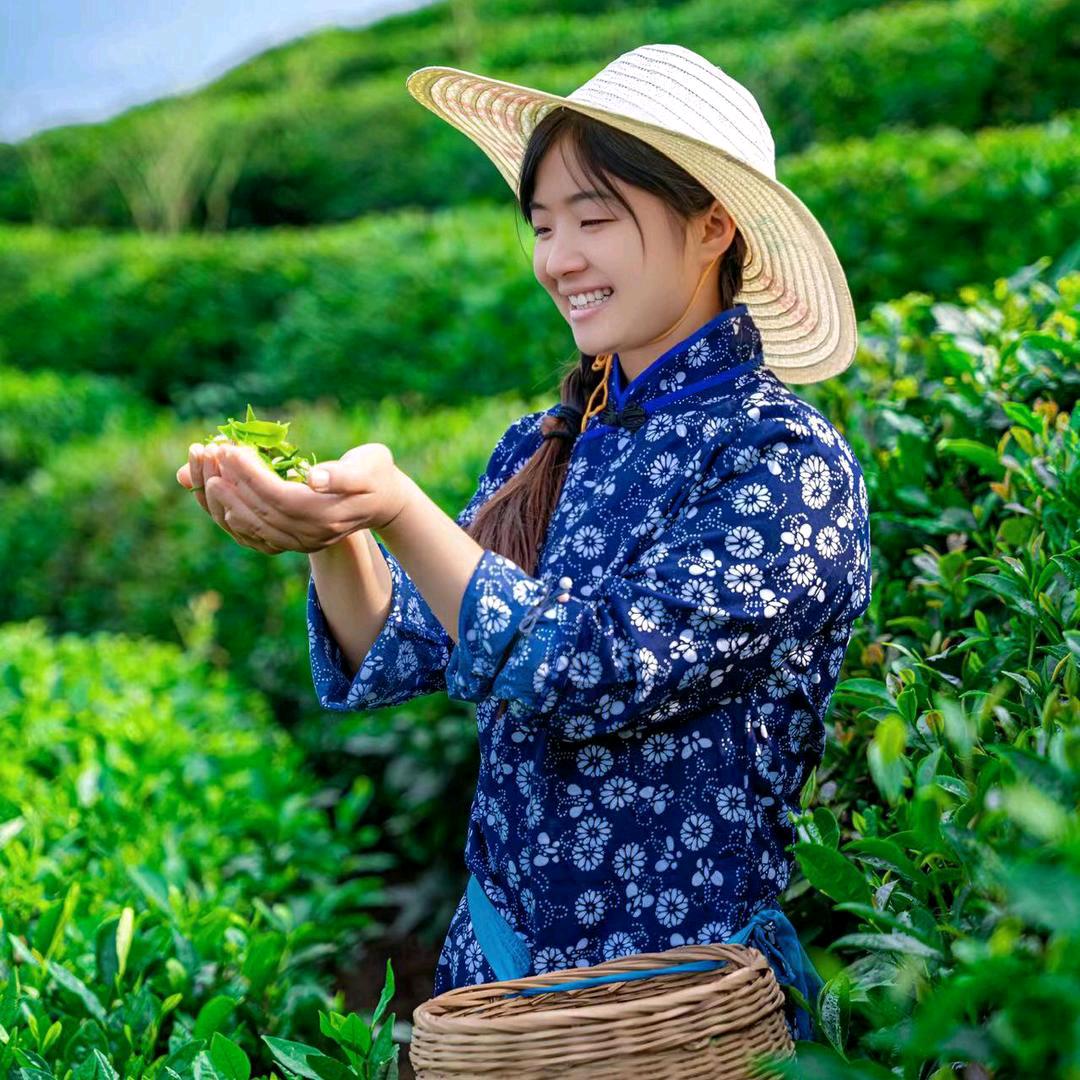 小杨妹生活号