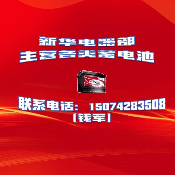 安乡电瓶总批发