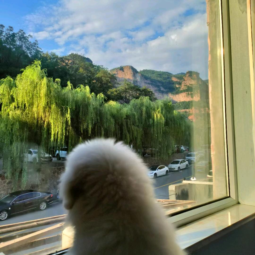 阁楼