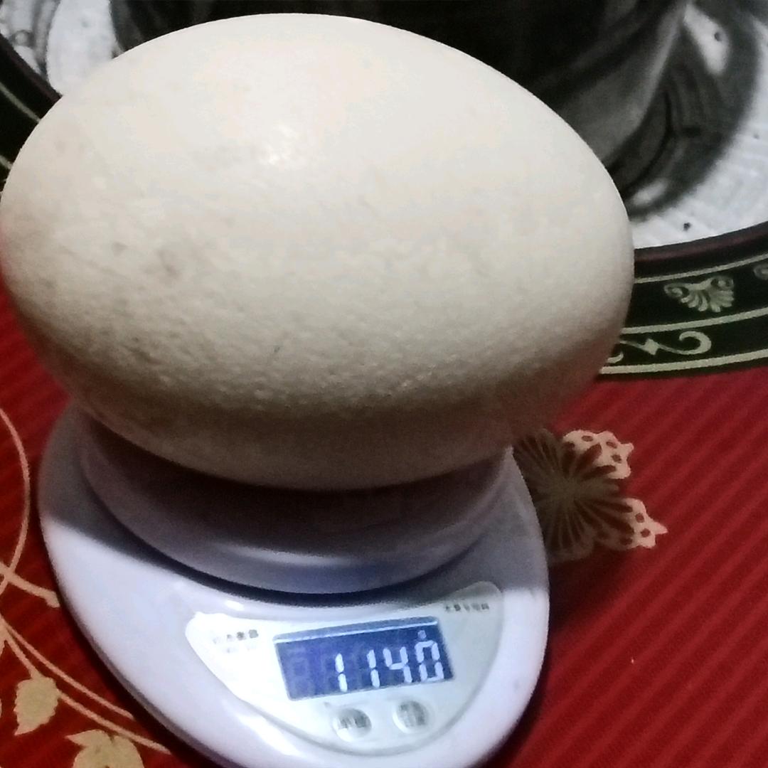 CAIYUN