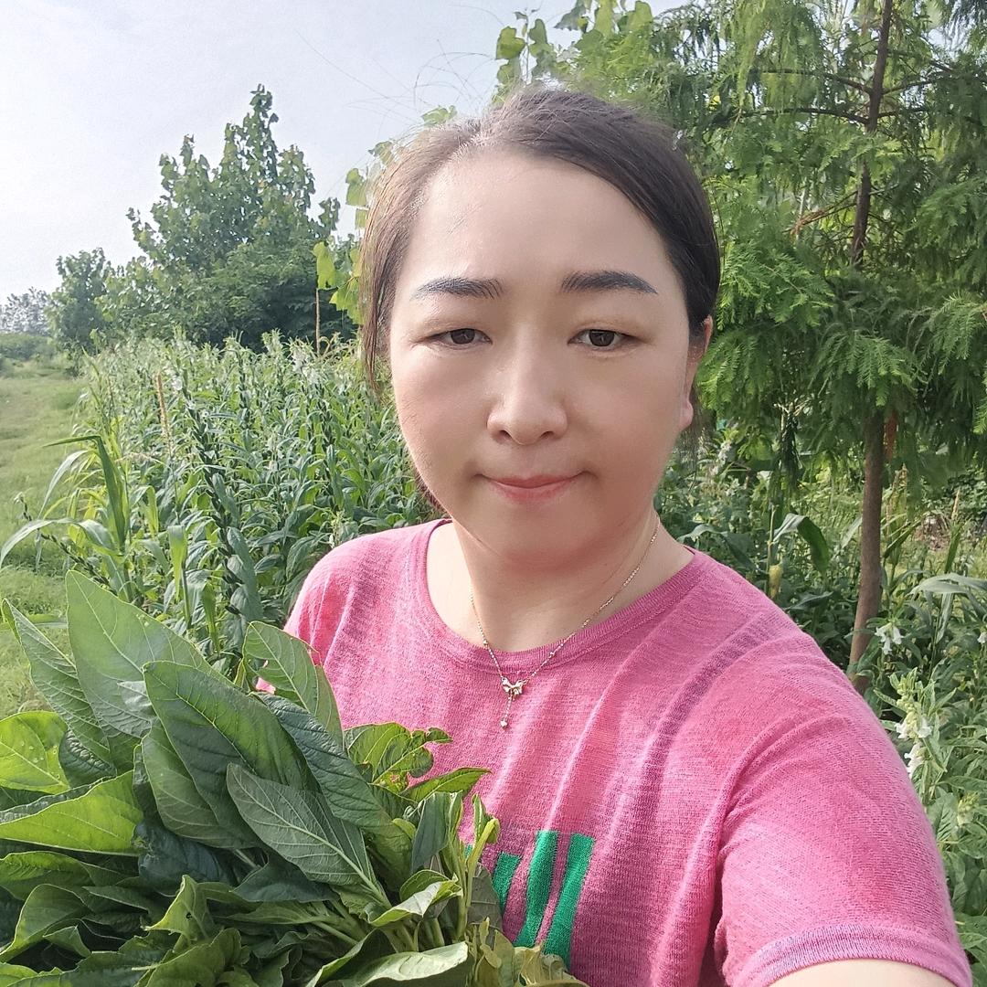 小高