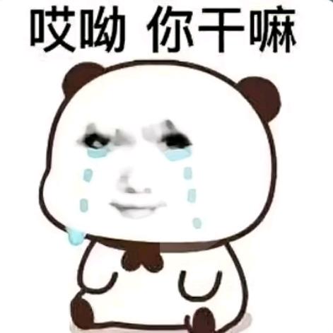 仔仔