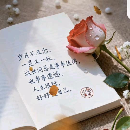 峰回路转zhang