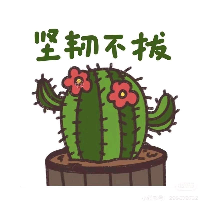 小董的冬天.