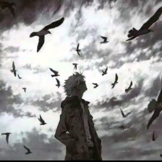 广州旭而网络有限公司