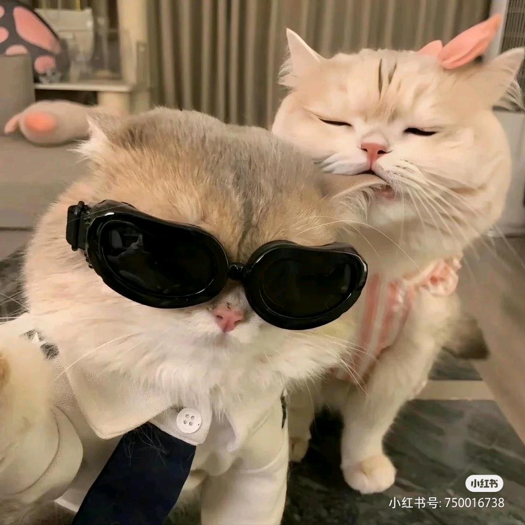果味王子🤴（减脂版）