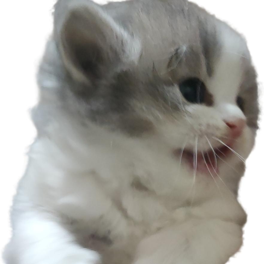 艾瑞可乐(弹弹堂)