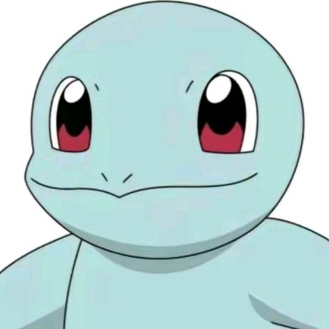 无家可归的王八