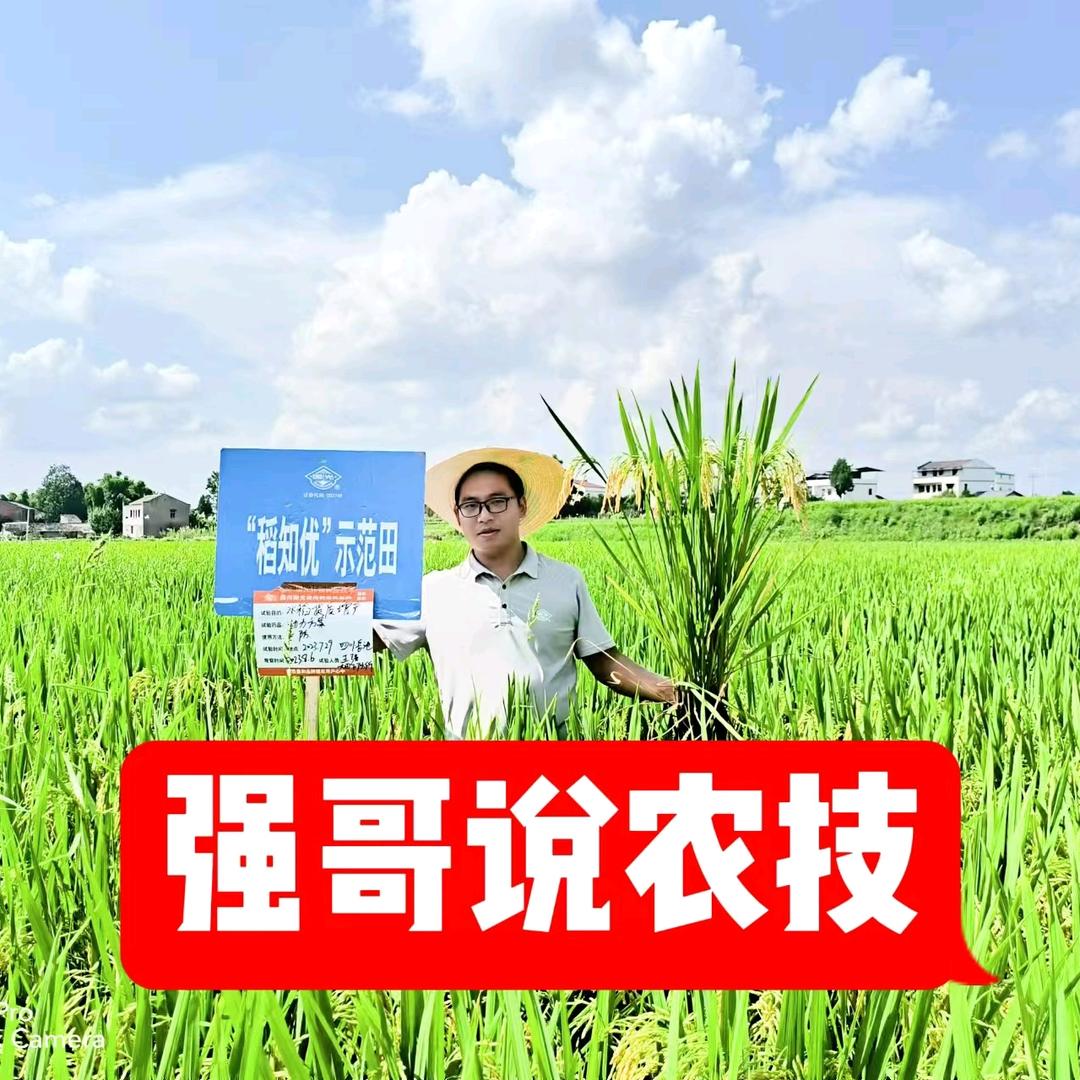 国光粮油强哥说