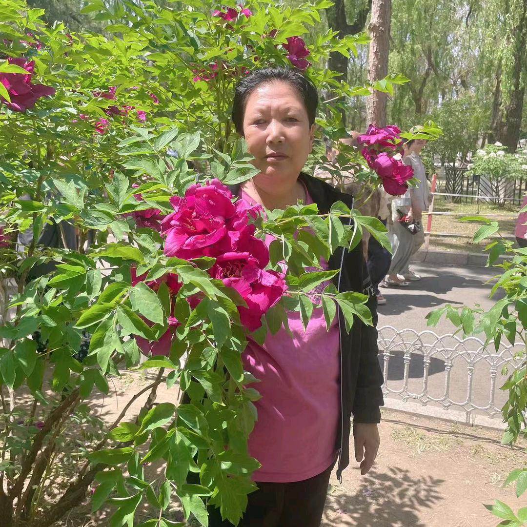 平安，幸福！🌺🌺