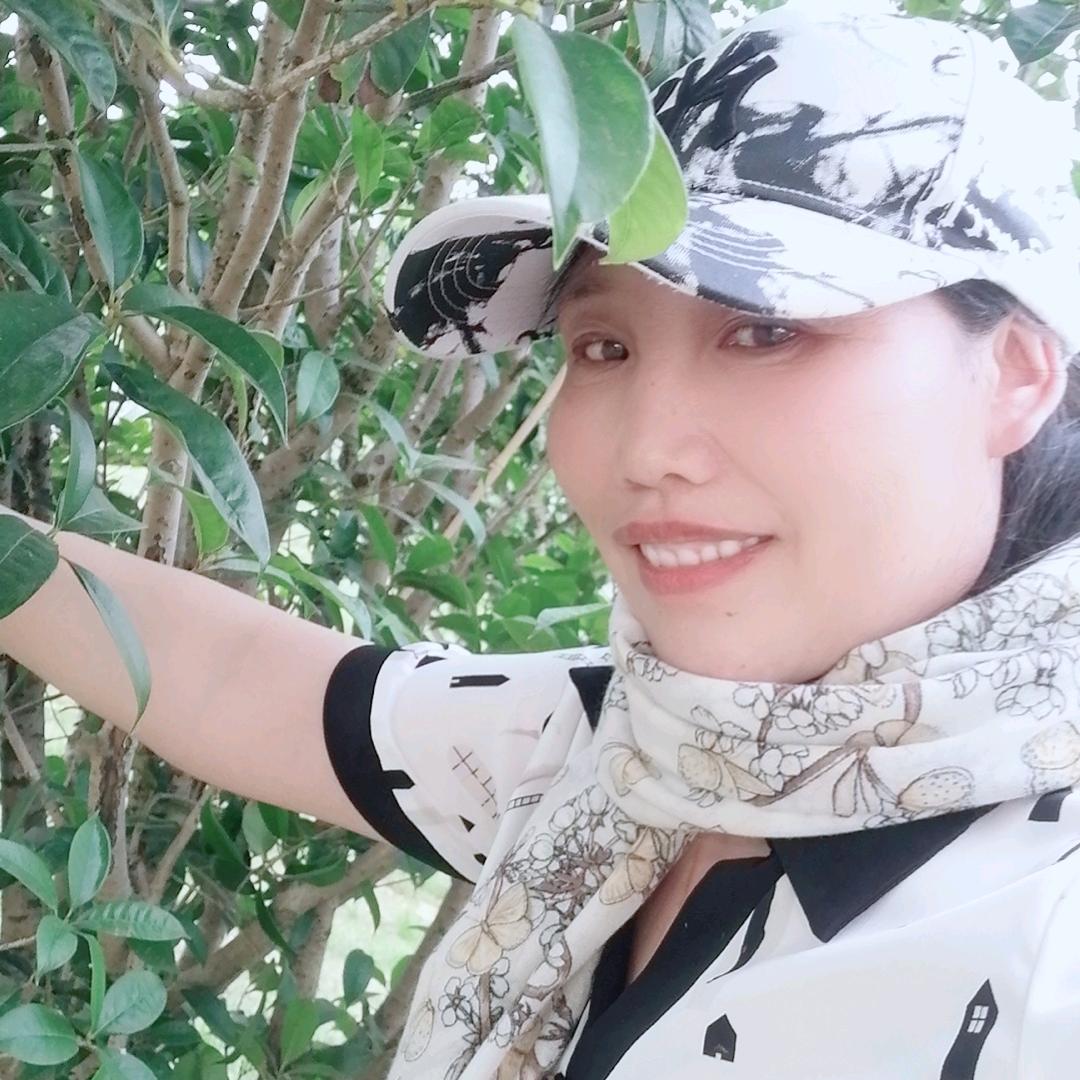 用户4770019001304花香