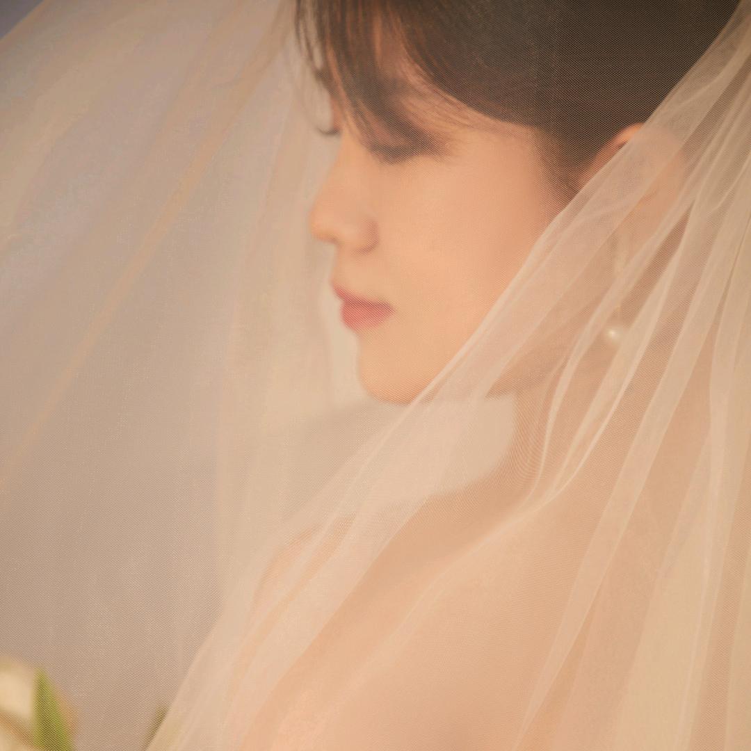 不吃鱼的喵星人