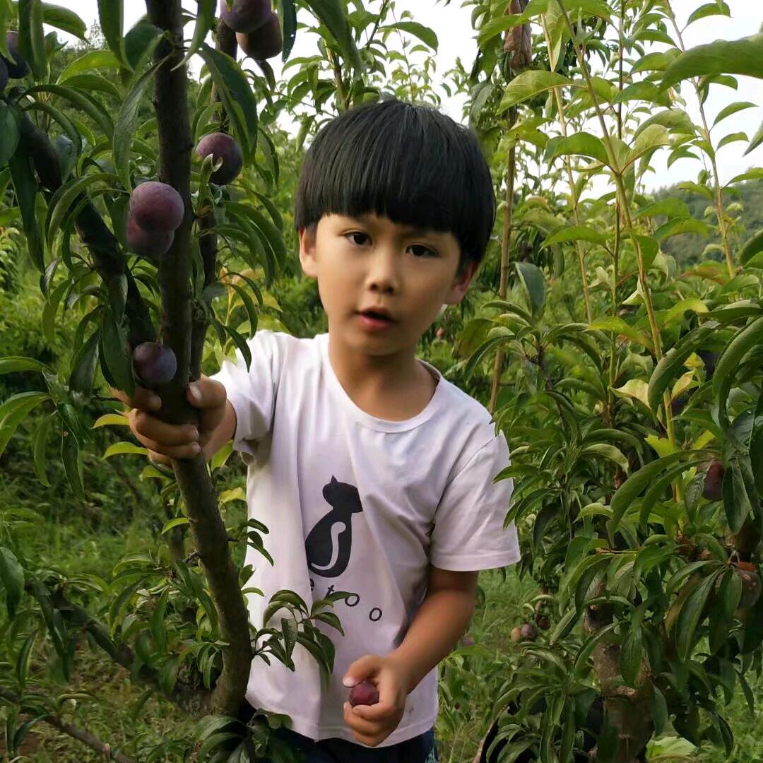小胡小胡，从不迷糊