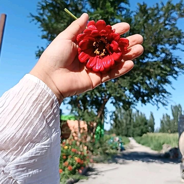 ❣️❣️