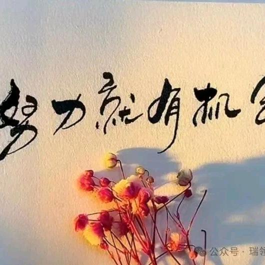 烟嗓船长小飞
