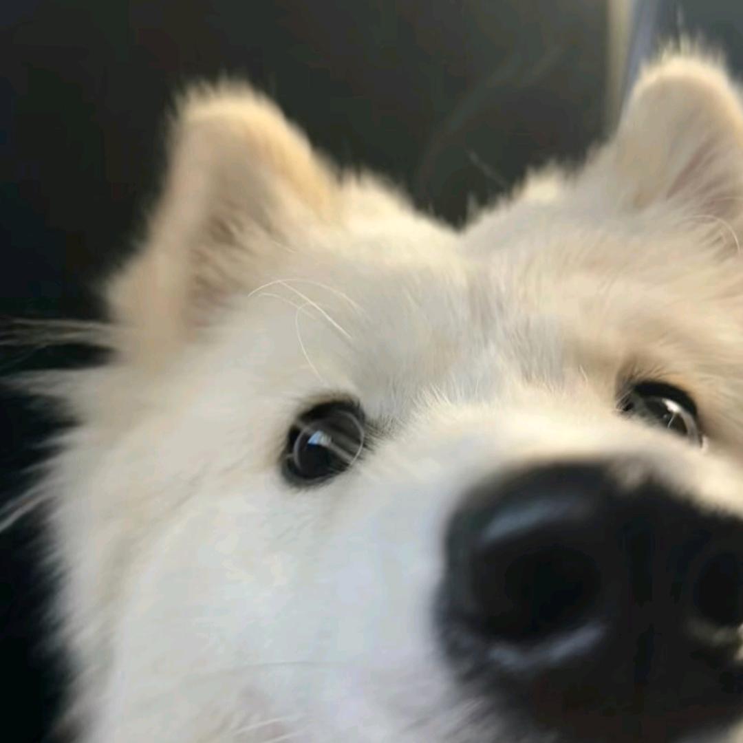 瞌睡小Y