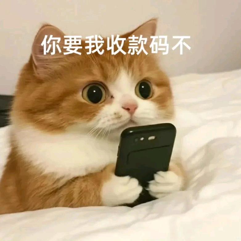 一车面包人