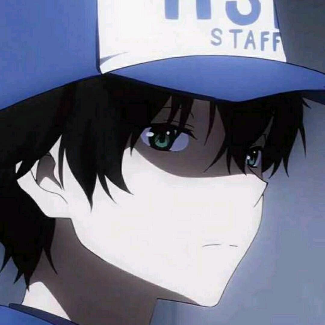 圆顶