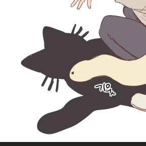 cc橙（早睡版）