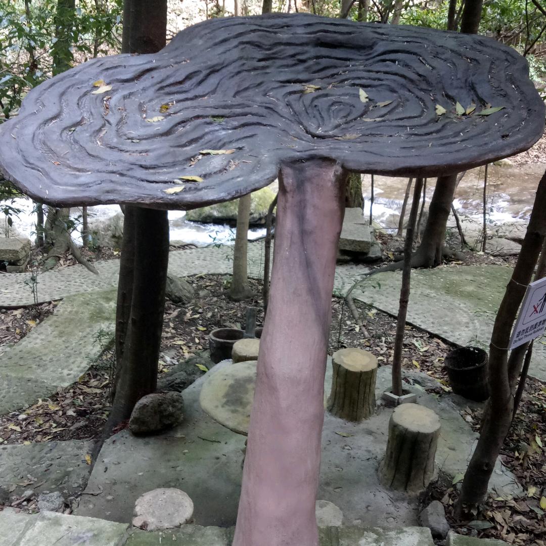 用往后余生