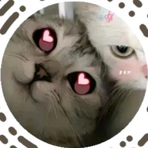 不能吃一点辣