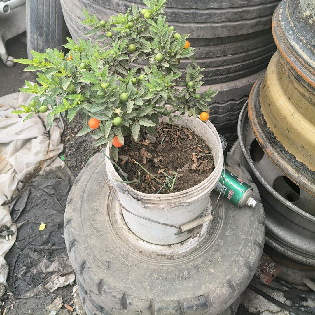 韩城市红涛轮胎经销