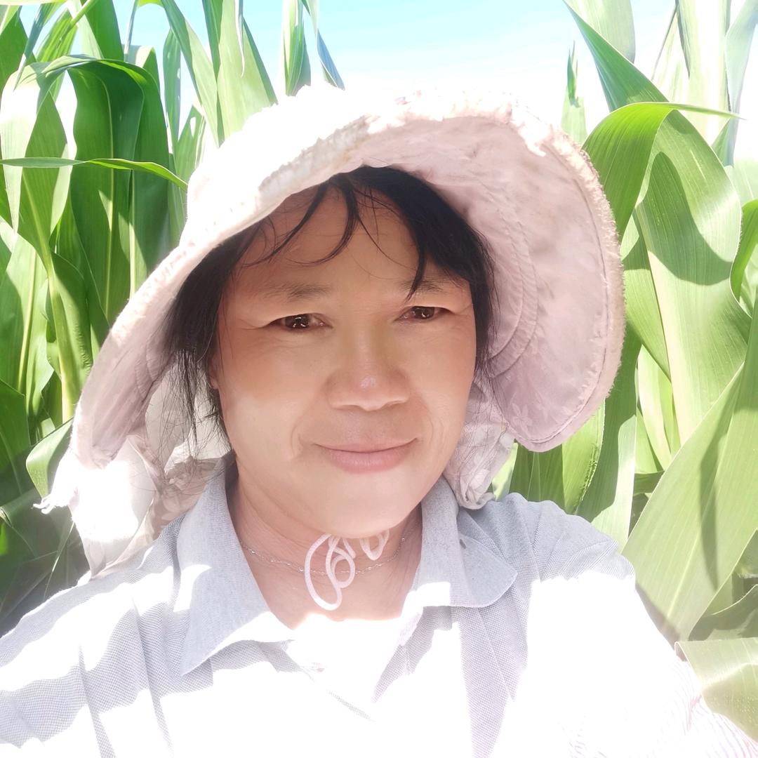 花开富贵.