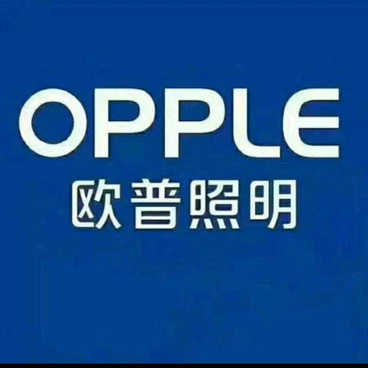 沧州灯具批发（印瀚装饰）