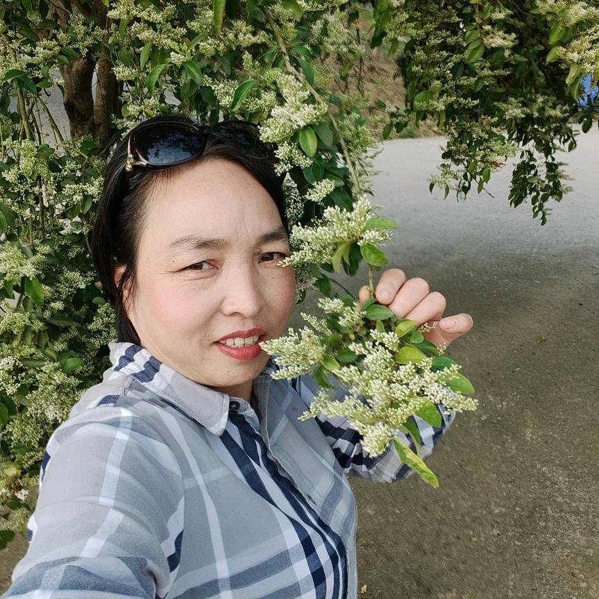 鲁秀清