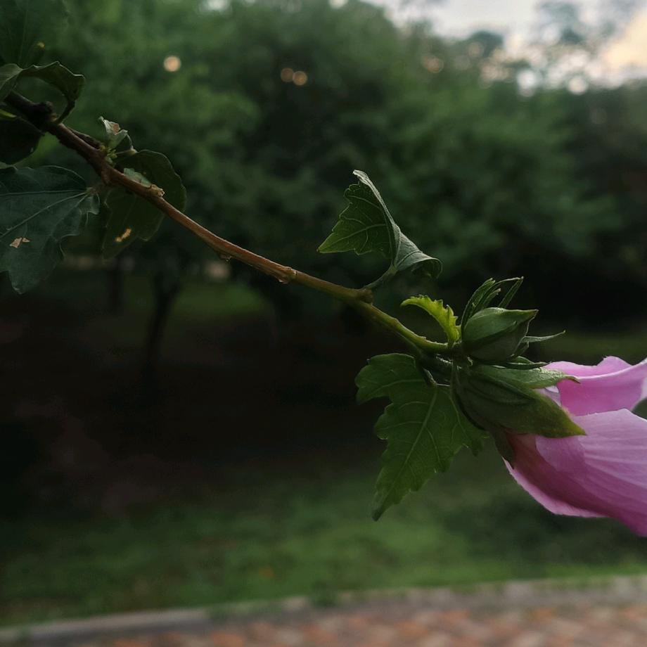 对方是你的红颜知己