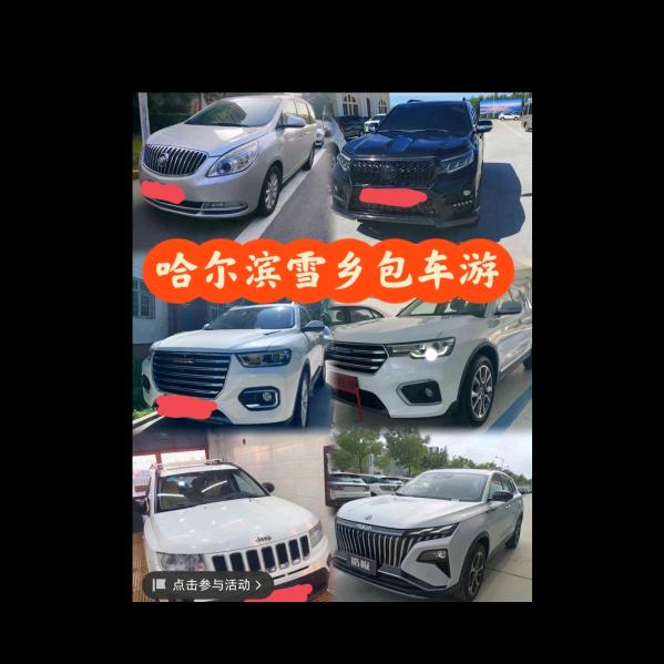 宝哥领队旅行推荐