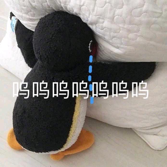 依芷保持热爱