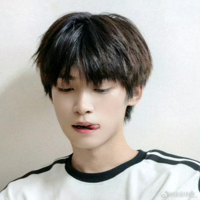 喜欢饲养小狗