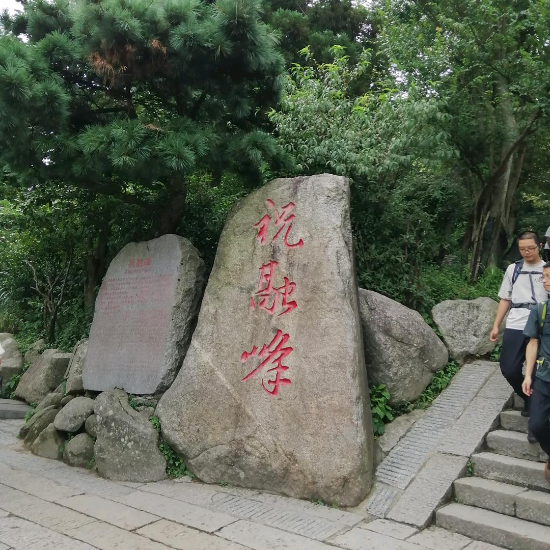 楚辞颂读