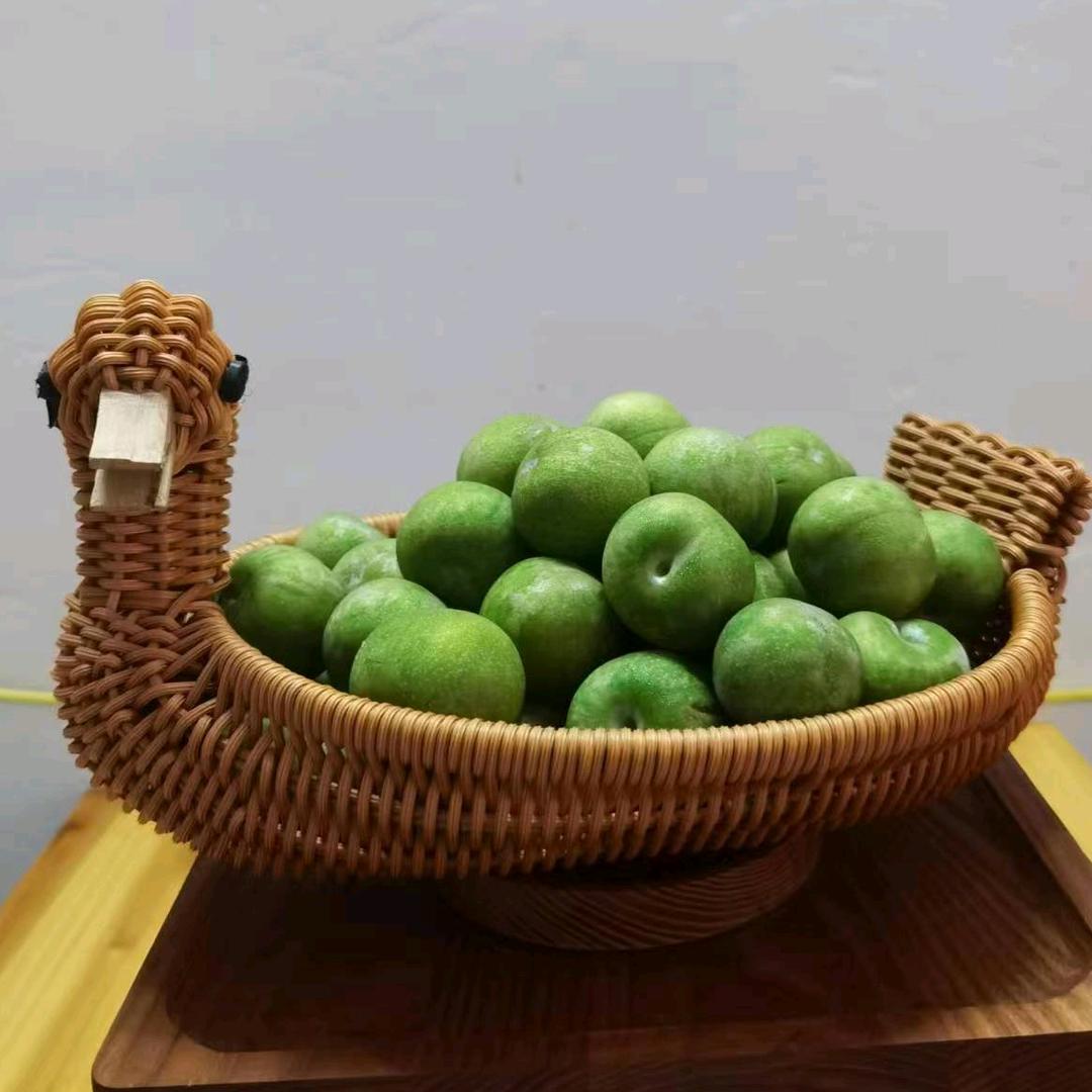 硒莱客农业