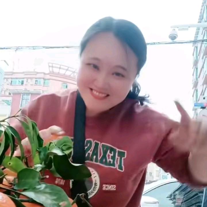 10甜甜水果钞票天天有