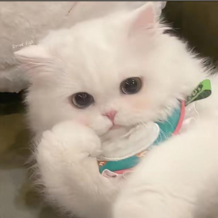 滨河