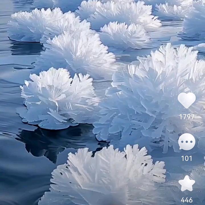 恋恋不忘