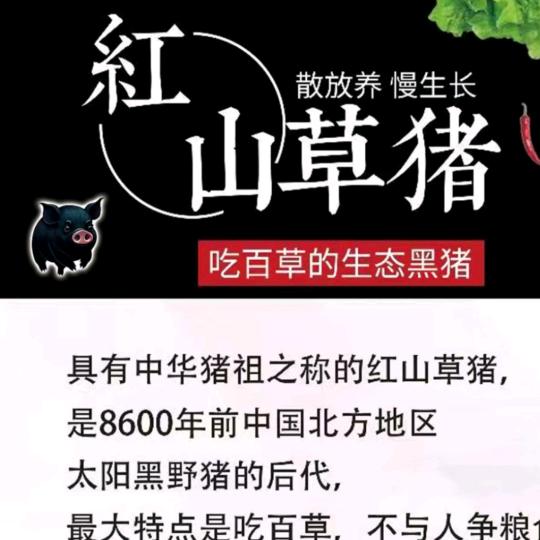 一个达不刘