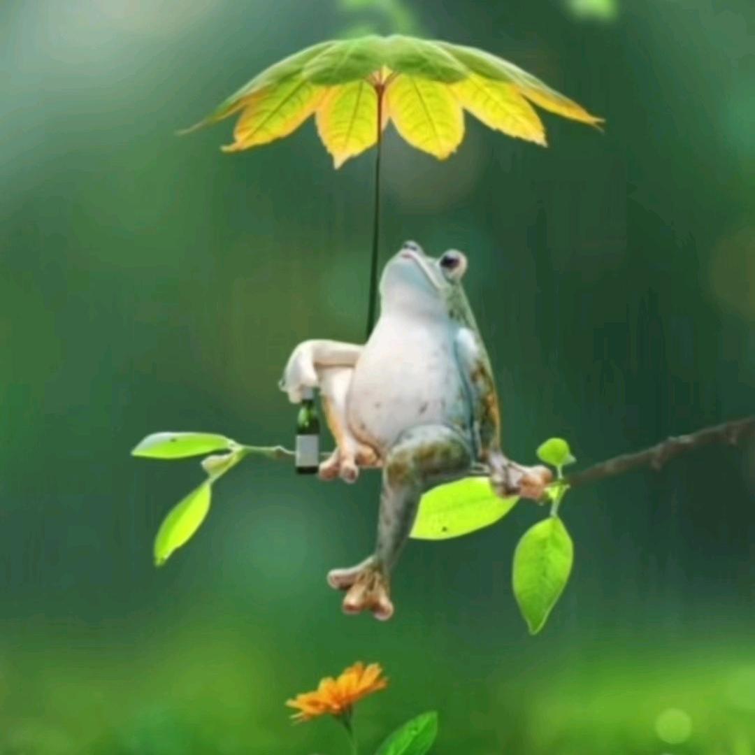 &落子无悔&