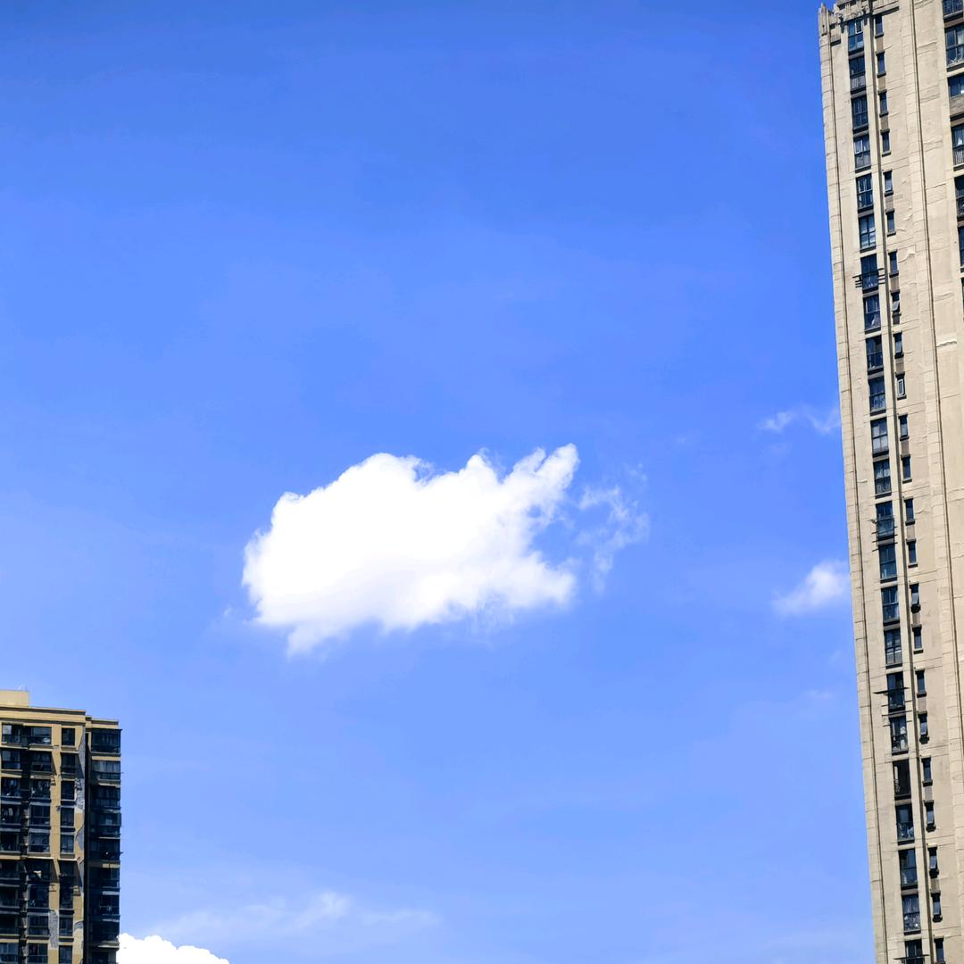 沄沄