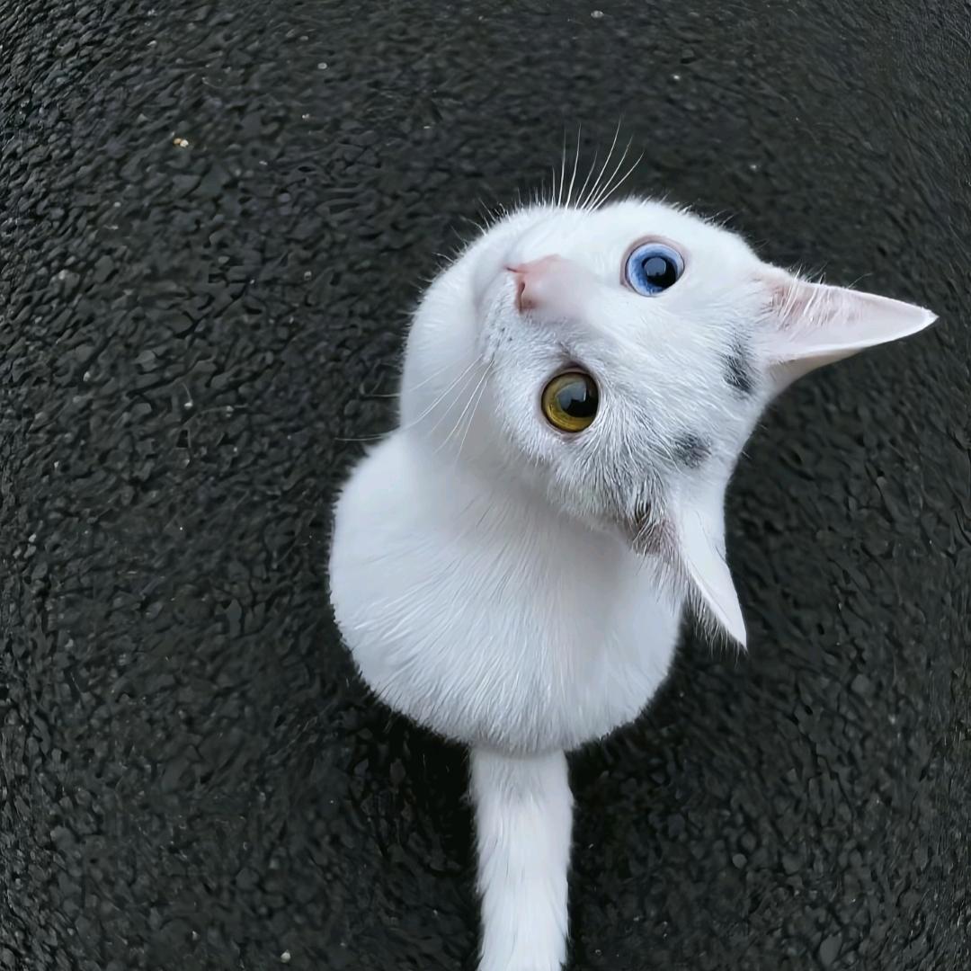 起晚了