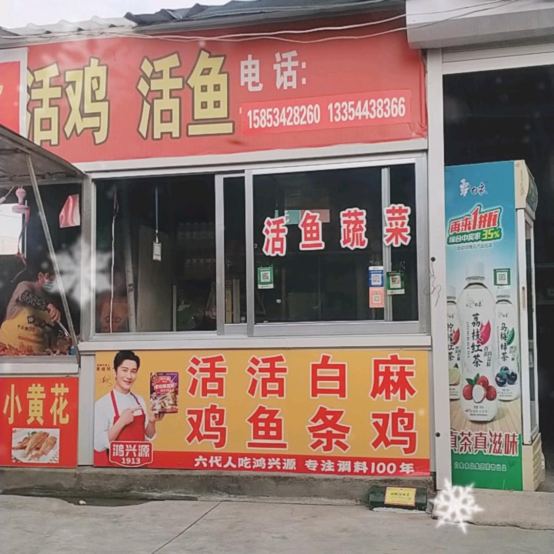 丰财活鸡活鱼批发零售