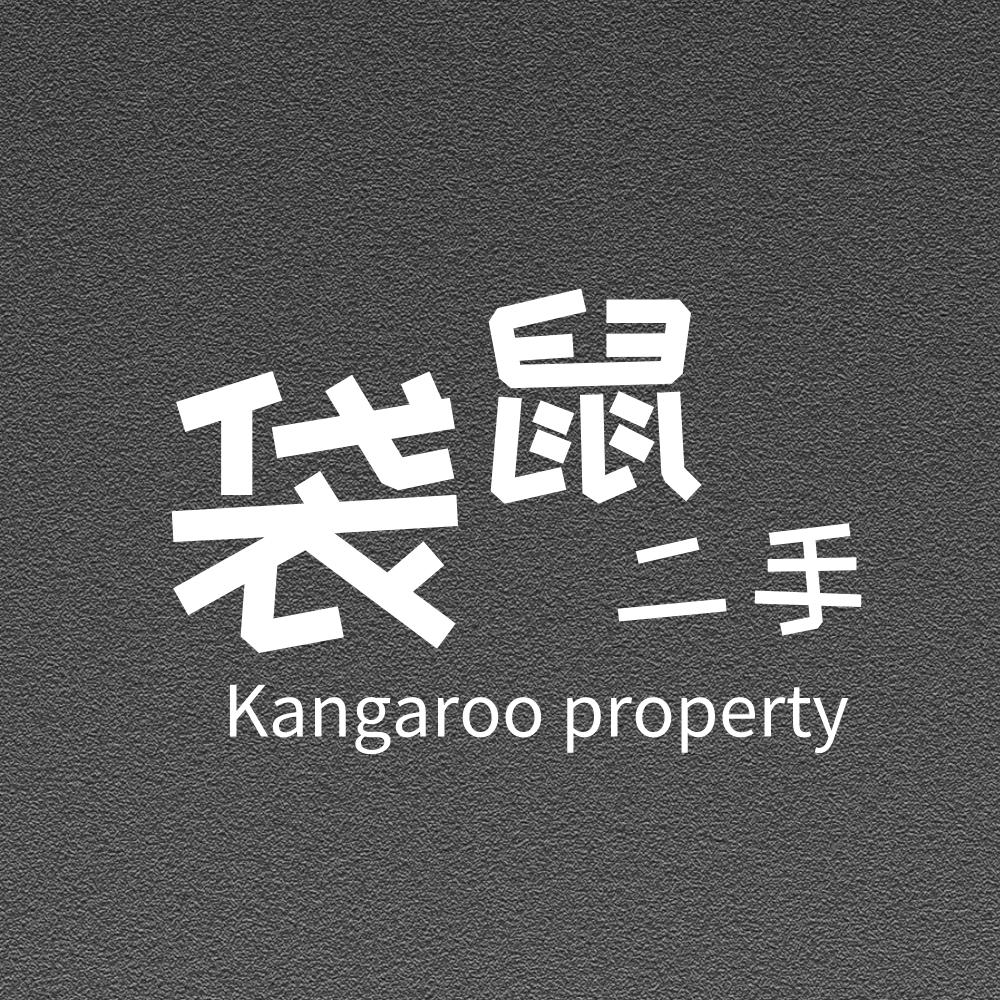 袋鼠事务所｜二手研究院