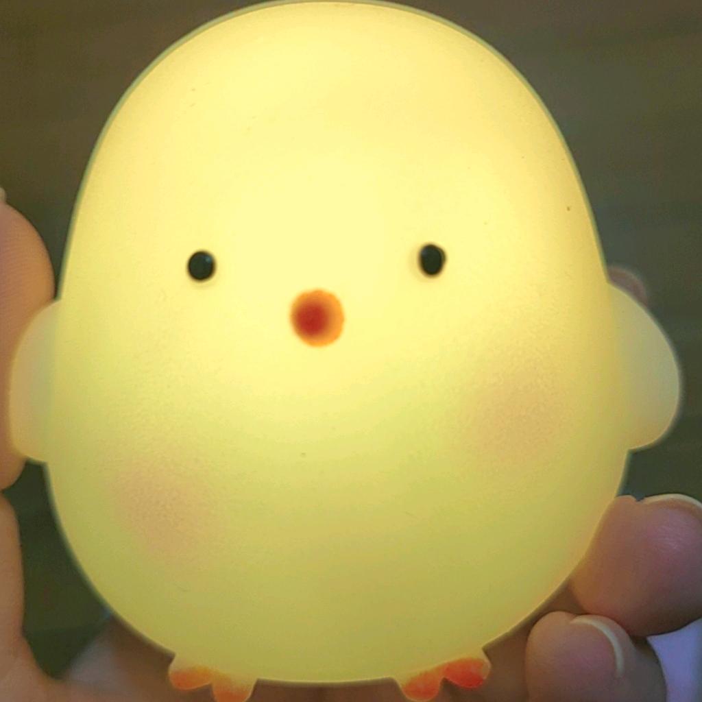 温江家教大学生