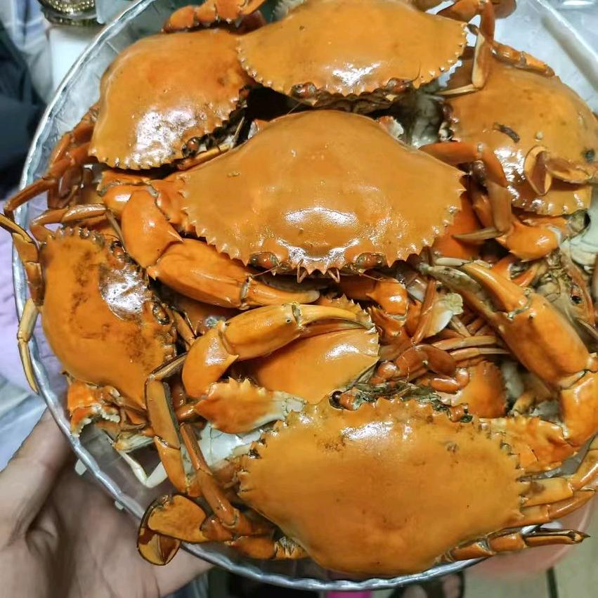 八哥。海里寻味