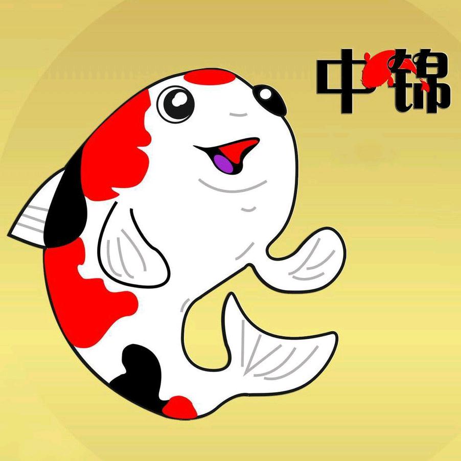中锦锦鲤学堂