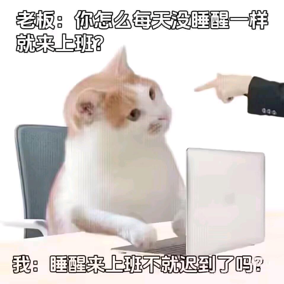 她在黑雾尽头