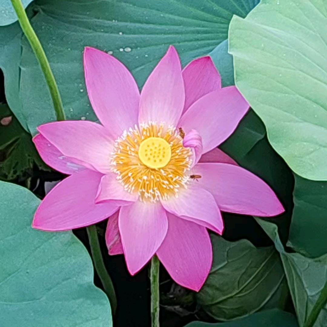 九章主簿