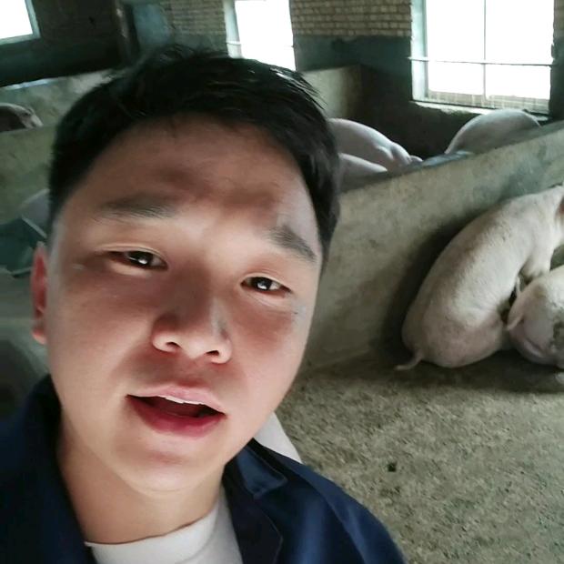 周总说猪